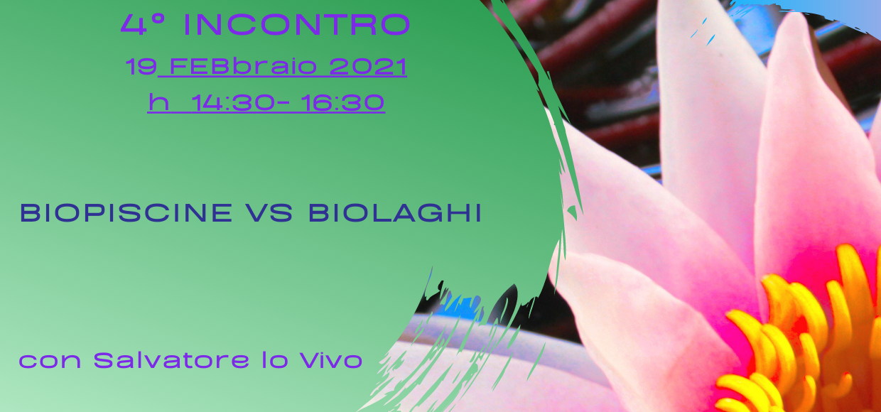 Biopiscine VS Biolaghi