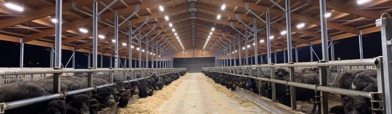 VISITA ALL’AZIENDA AGRICOLA MORIS