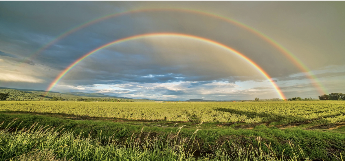EARTH DAY 2024 – GIORNATA DEDICATA ALL’AMBIENTE